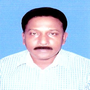 Sholla School College Teacher